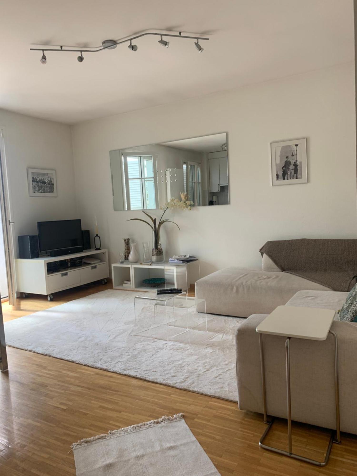 Spacieux Eaux Vives Apartment Geneva